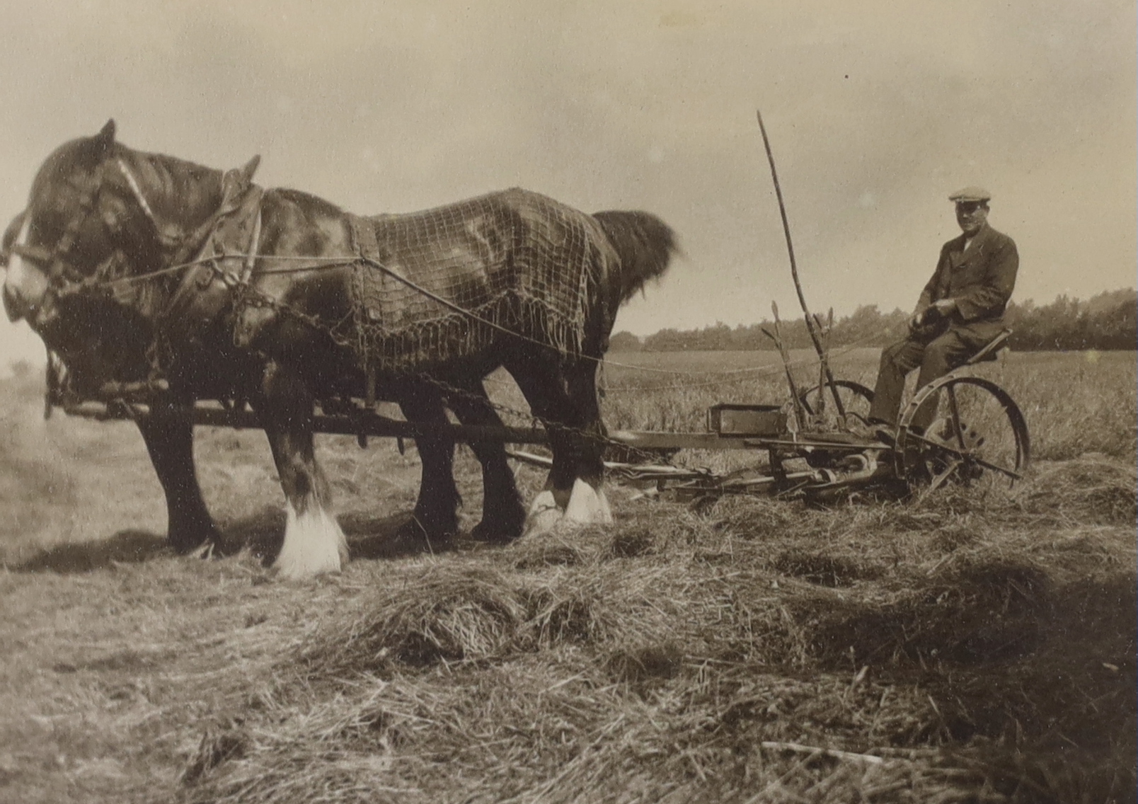 Three framed early 20th century farming photographs, largest 59.5cm wide x 39.5cm high